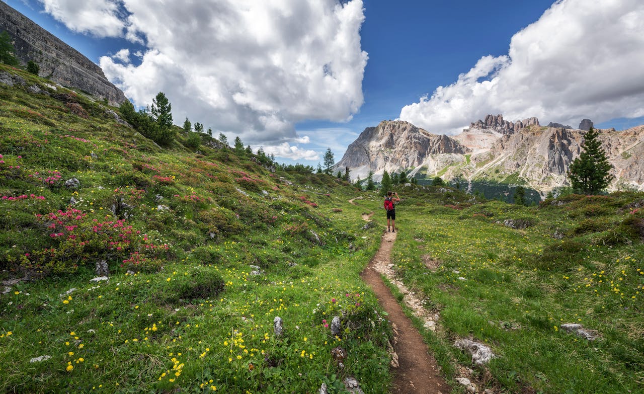 about-us A lone hiker explores a stunning trail surrounded by alpine flowers and majestic mountains in the Dolomites.